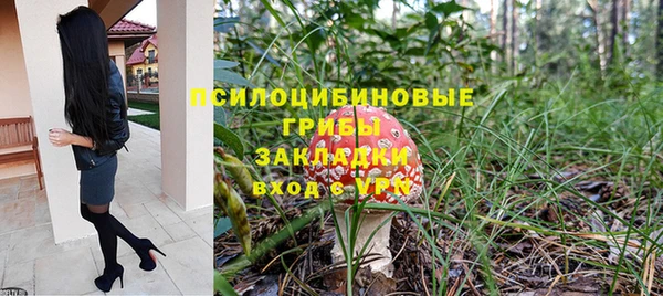 крисы Зеленодольск