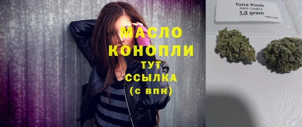 индика Зерноград