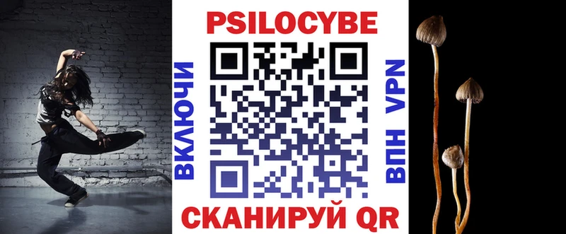 Псилоцибиновые грибы Magic Shrooms где купить Каргополь